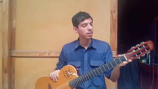 Video thumbnail for Godin Multiac Steel SA. Experimento con cuerdas de Nylon. ¿Que sucede? by 𝔽𝕐𝕋