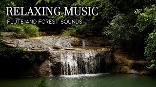 Relaxing Music with Flute and Forest Sounds - Refresh the Mind, Find Peace and Calm - Sleep