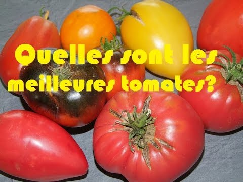 , title : 'top 5 des meilleures tomates'