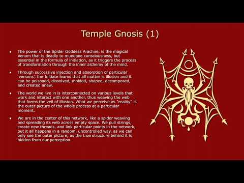 Arachne Weaver of the Web in the Void