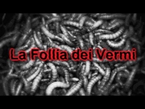 Farmaci per tipi diversi di vermi Helminths in un occhio di fotografia