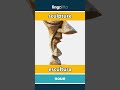 sculpture - escultura video thumbnail