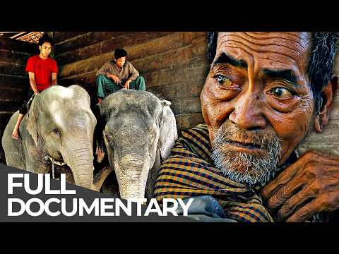 The Last Elephant Men of Cambodia