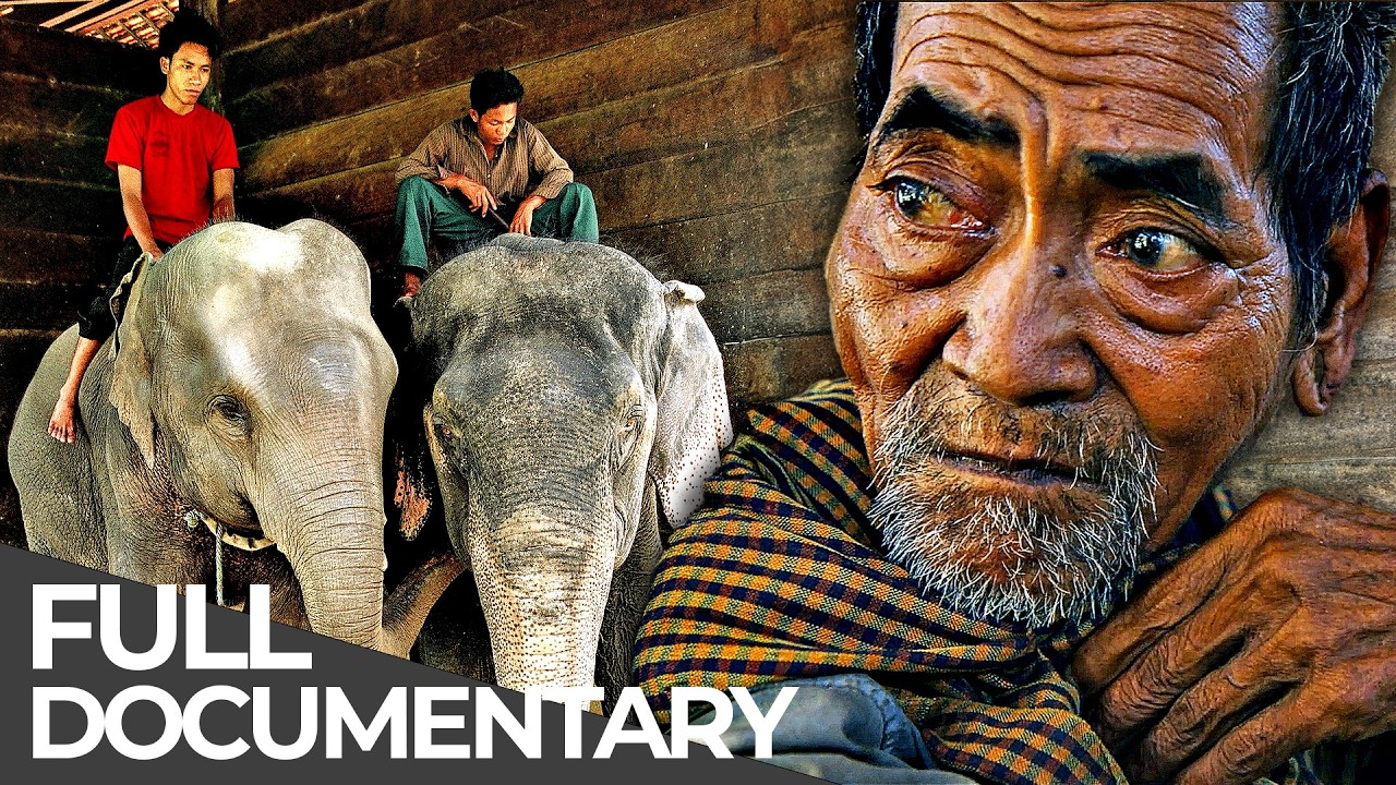 The Last Elephant Men of Cambodia