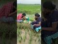 Beautiful Village Nature Villagelife Village Lifeinindia