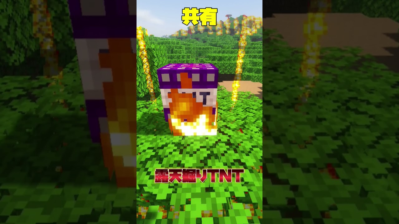 ○○してくれた人の"便利TNT" 【 Minecraft 】 #shorts
