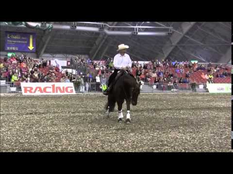 Hevoset 2015: Kari Vepsä kertoo quarterhevosista ja ratsastuksesta