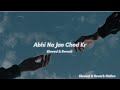 Abhi Na Jao Chod Kr (Slowed & Reverb) - Shreya Goshal