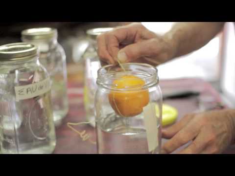 How to make Blood Orange Eau de Vie