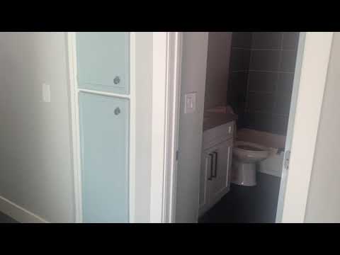 Donax - Video 2 of 2