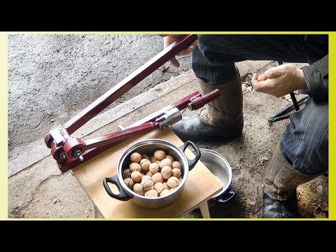 Walnut cracking machine DIY(drawing)