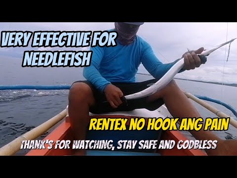 Fastest way of Catching Needlefish  using RENTEX Microfiber pang ulam