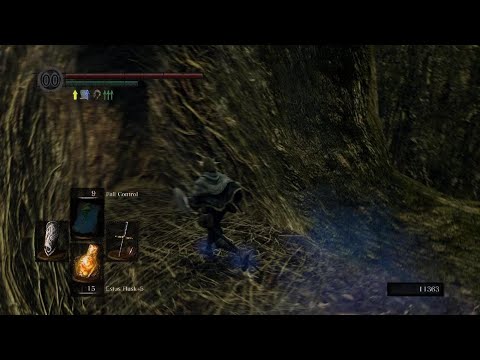 The Great Hollow: All 10 Crystal Lizard Locations