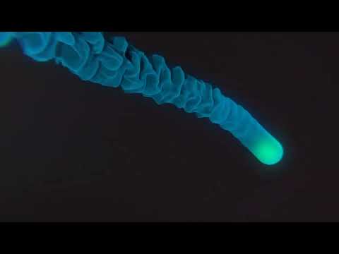 Intro of MDS Podcast