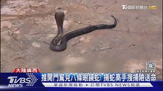 影音/廣西養蛇場遭洪水沖毀近千條毒蛇逃竄 各地捕蛇達人出動