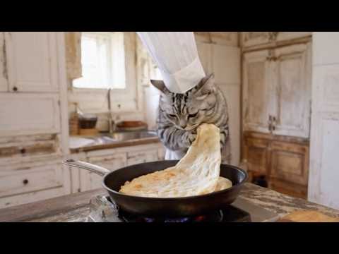 Cat Chef makes Butter Chicken Curry and Naan.