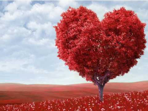 Služavke malog Isusa  - Srce siromaha