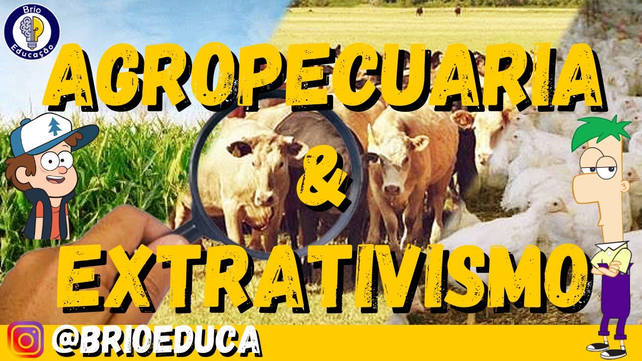 Geografia | Agropecuária e extrativismo: vegetal, animal e mineral |Ensino Fundamental|