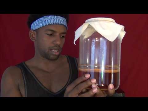How to make a SCOBY from scratch! (Wal-Mart Alien Conspiracy Kombucha?!?!)