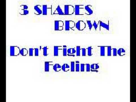 3 Shades Brown - Don't fight the feeling（A night to remember-Shalamer)
