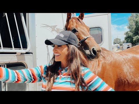 YouTube video about: How to get a horse to go faster?
