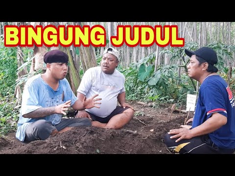 bingung-judul-pak-ndutt-galau
