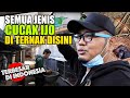 PENANGKARAN KHUSUS BURUNG CUCAK IJO TERBESAR DI INDONESIA