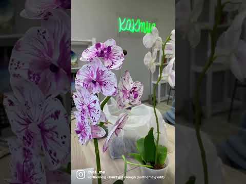 Итоги мастер-класса по изготовлению орхидеи #фоамиранцветымастеркласс#цветыизфоамирана#орхидея