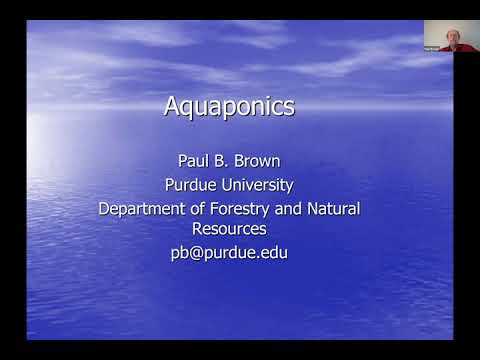 #33 - Introduction to Aquaponics