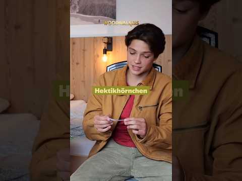 "Hektikhörnchen"🐿🌰#katjabrandis #woodwalkersderfilm #woodwalkers #movie #film #shorts