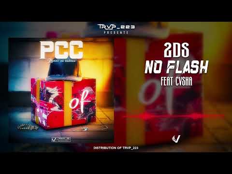 2DS -  NO FLASH FEAT CVSHA