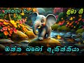 Onn Babo Athinniya ඔන්න බබෝ ඇතින්නියා Sinhala Baby Song Sinhala Lama