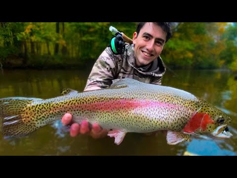Fly Fishing in New Jersey is CRAZY (Fall Stocking 2020 and Big Trout)