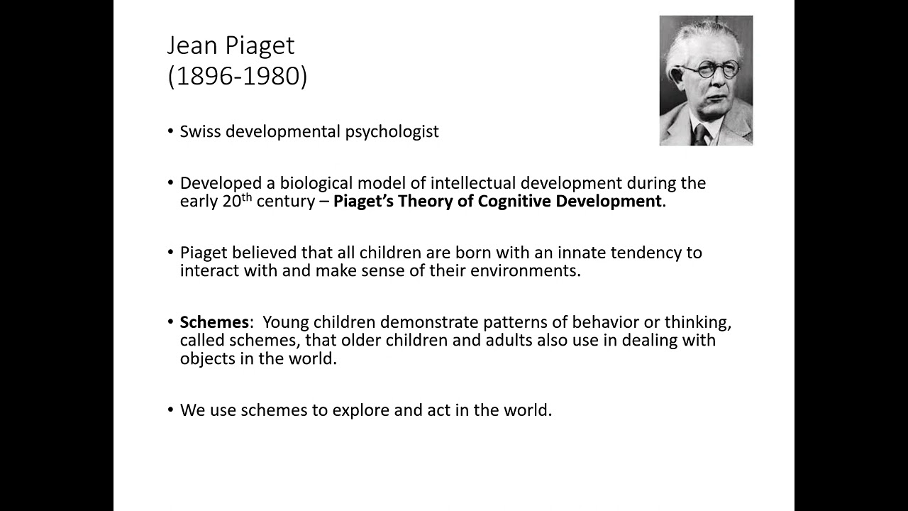 Week 4   Cognitive Development PowerPoint