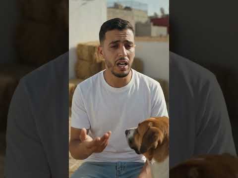 الحولي ما عجبوش الحال