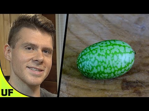 image-Can you eat cucamelons?Can you eat cucamelons?