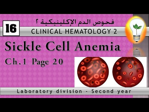 clinical hematology anemia policythemia تقنيات تحاليل الدم الأنيميا