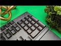 Клавиатура Razer Ornata V3 X (RZ03-04470100-R3M1) Black 7