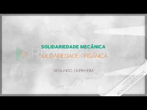 Solidariedade mecânica vs orgânica (Ana&Cia)