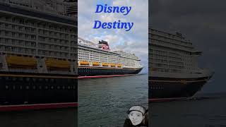 Disney Destiny