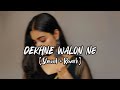 Dekhne Walon Ne Kya Kya Nahi Dekha Hoga Slowed Reverb SLowed