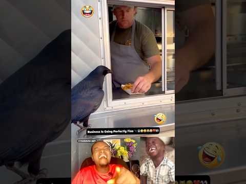 Time For Crow To Trade #trending #funny #shorts #comedy #subscribe #foryou