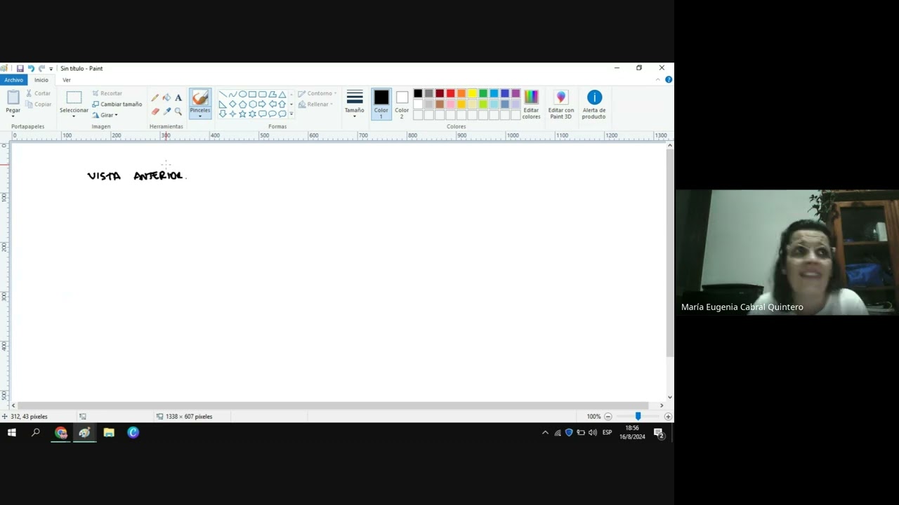 CURSO ANATOMIA X ESQUEMAS - 1er Clase: Anatomía del Corazón - Prof Eugenia Cabral