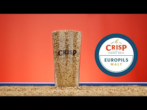 Crisp Malt - Europils Malt - Malt Tasting Video
