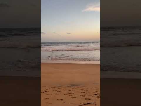 A beautiful beach in Sri Lanka🇱🇰🌊☀️ #beach #srilanka #travel #love