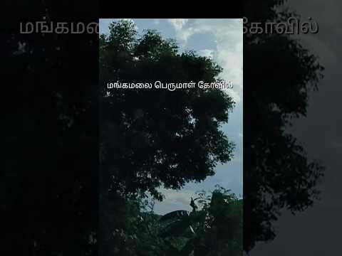 Best place near sangagiri | Amutha's space