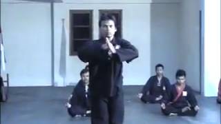 Download lagu Silat reflek Bayangangan ws pamungkas mp3