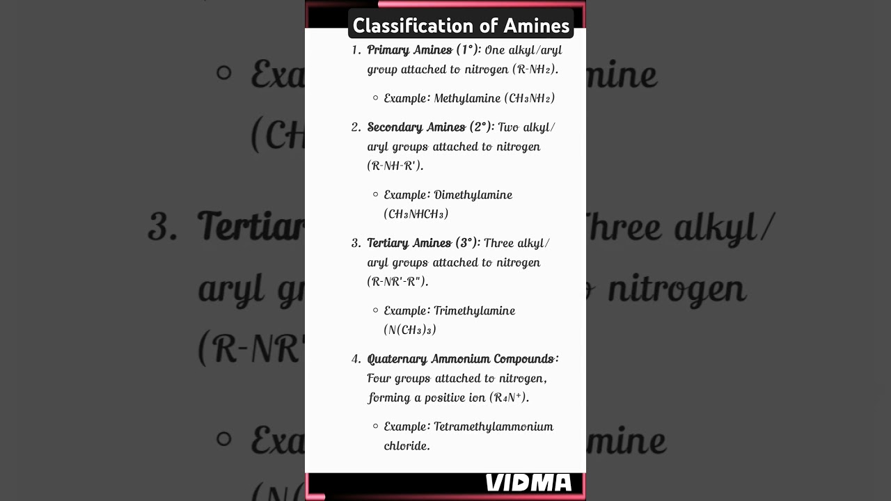Classification of Amines #bscchemistry #chemistry #organicchemistry