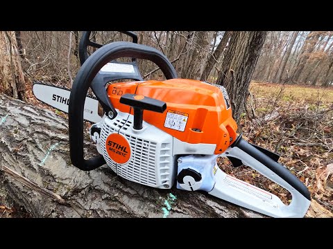 Agree to Disagree - chainsaw bar length