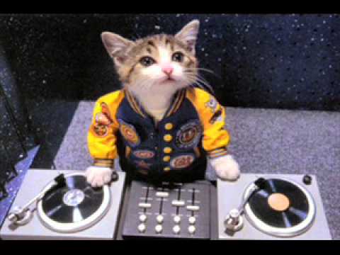 Dr  Dre vs JJ Kills   Still